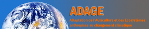Adage