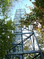 Tour  flux du site de Hesse (parcelle Hesse 1)